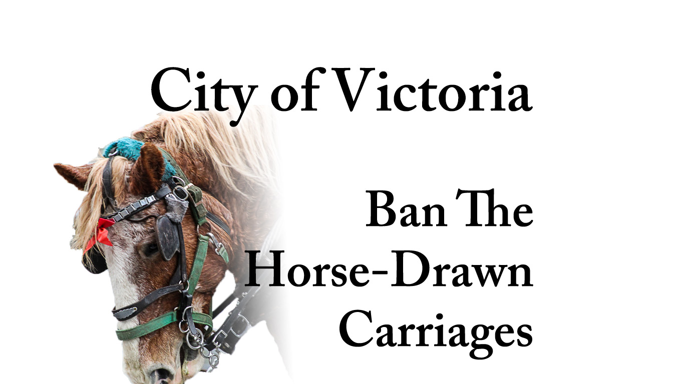 Petition to ban the horse drawn carriages