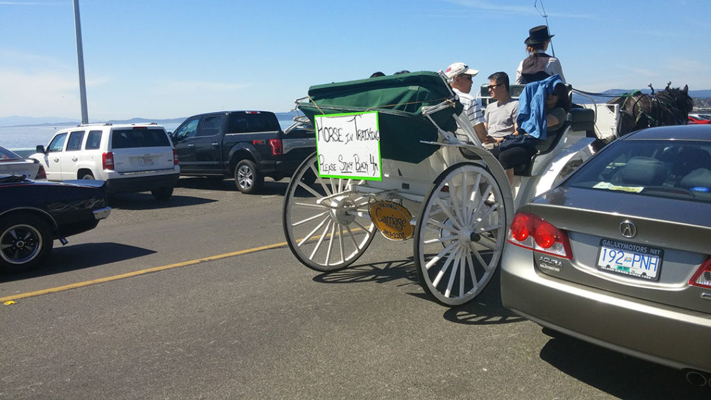 Victoria Horse Carriages