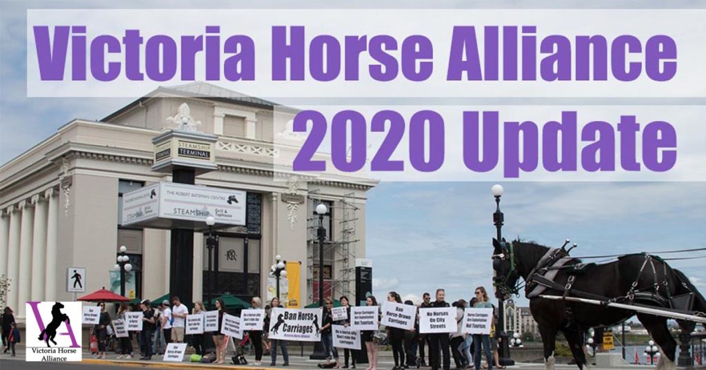 horse carraiges victoria 2020