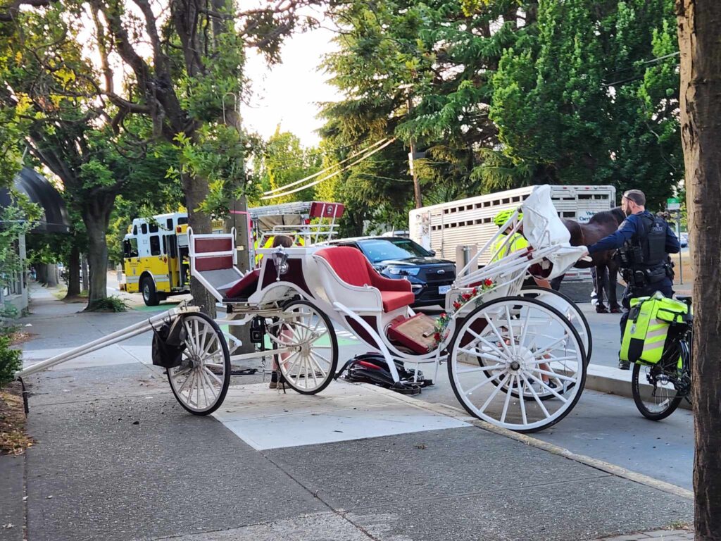 Victoria horse carriages