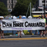 Victoria Horse Carriages