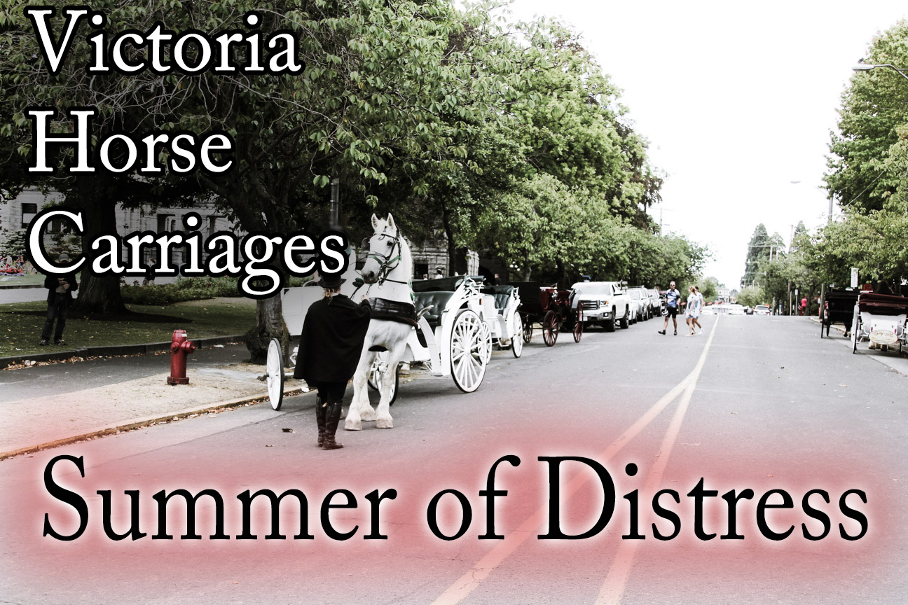 Victoria Horse Carriages